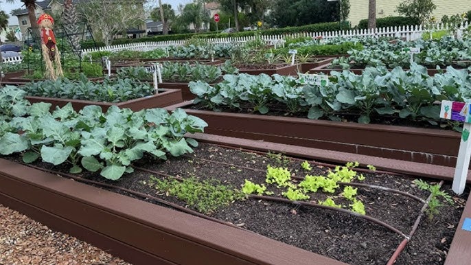 Preparing soil for planting?>